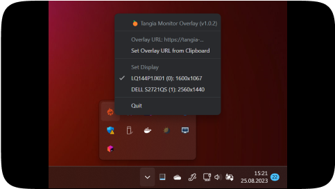 Install and copy the URL from setup